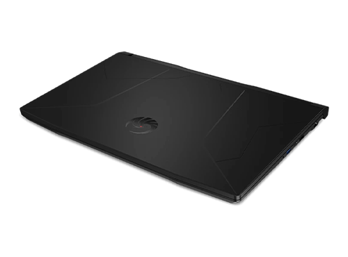 MSI Bravo 15 B5DD-042RU